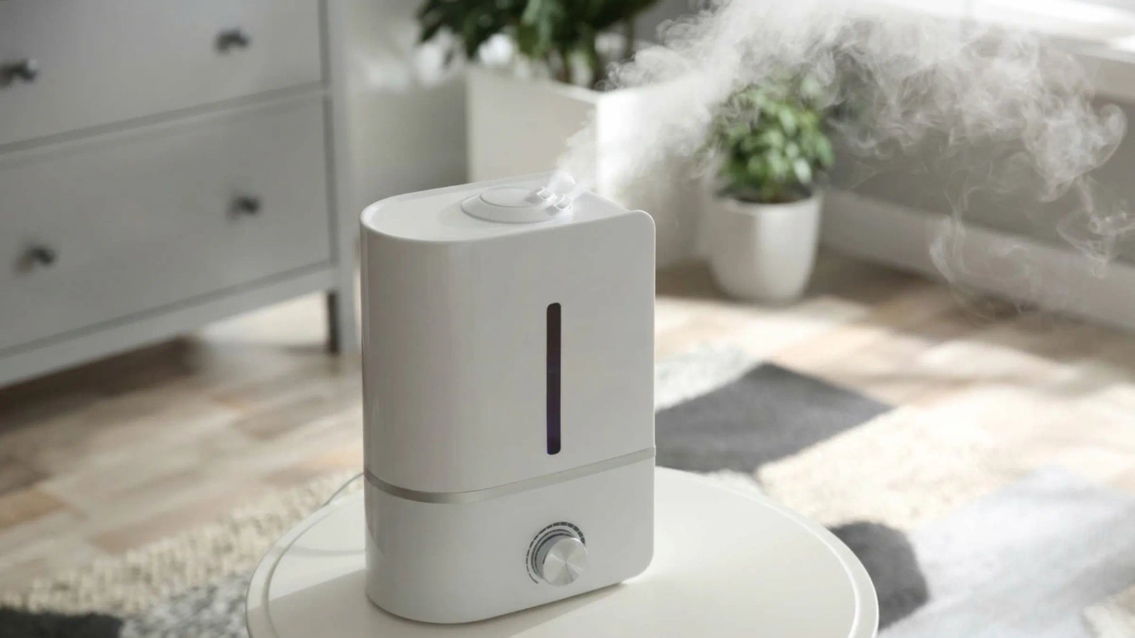 Humidifiers: Which Type to Buy, and How to Run One Safely