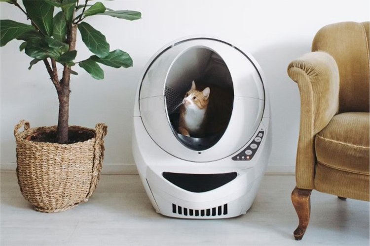 Litter-Robot Black Friday Sale Is Now Live: What You Need to Know