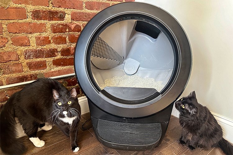 Litter-Robot Black Friday Sale Is Now Live: What You Need to Know