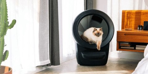 Litter-Robot Black Friday Sale Is Now Live: What You Need to Know