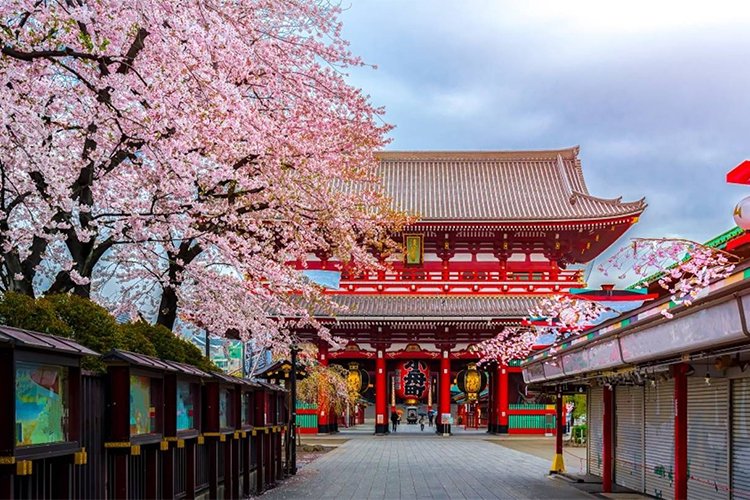 9 Must-Visit Temples in Japan
