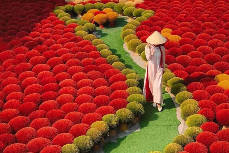 Visit this Vietnamese incense village and feel the immense beauty
