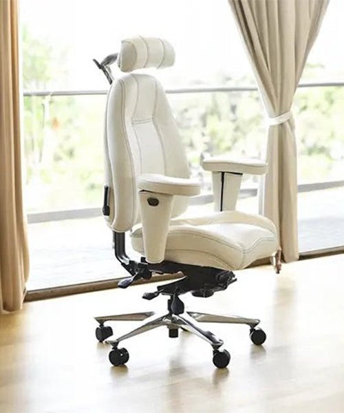Ergonomic Office Chairs