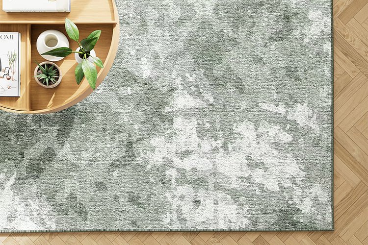 4) Charlie Washable Rug