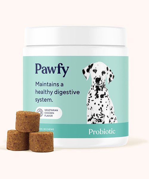 1) Pawfy Probiotic for Dogs (Daily Probiotic)