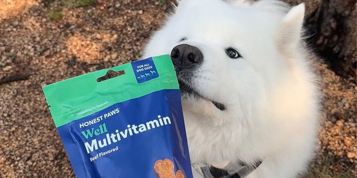 Pawfy review: Are Pawfy probiotics worth it for dogs?